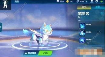 飞车手游最新宠物爆料信息,神秘力量觉醒，速度与激情再升级！