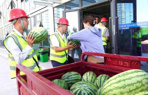 金乡最新大瓜爆料新闻,揭秘惊人内幕，震惊全城！